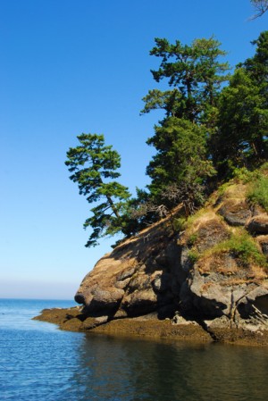 Matia Island shoreline