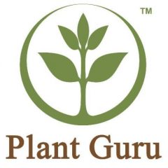 Pure Essential Oils – Plant Guru